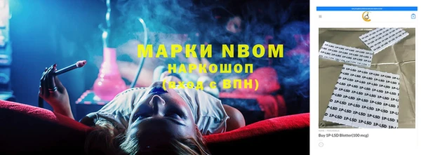 сатива Алексеевка