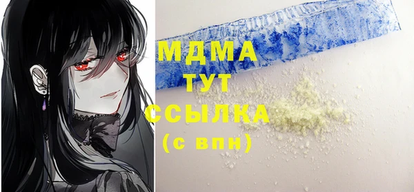 мдпв Елизово